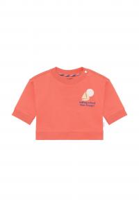 Noppies Толстовка в кроваво-красном цвете