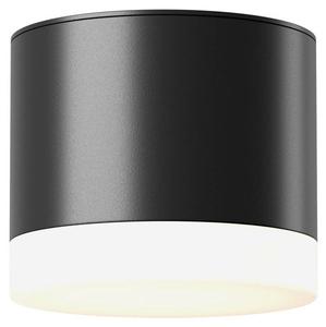 Потолочный светильник Maytoni Decorative Lighting Pauline, черный - белый