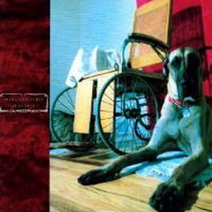 Виниловая пластинка LP For Respect - Don Caballero