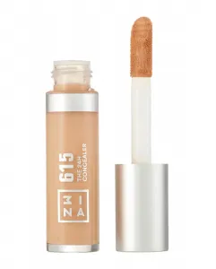 Консилер The 24H Concealer 3Ina, 615