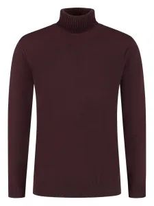 Водолазка Doriani, красный