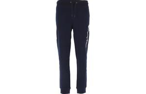 EMPORIO ARMANI Трикотажные спортивные штаны мужские темно-синие