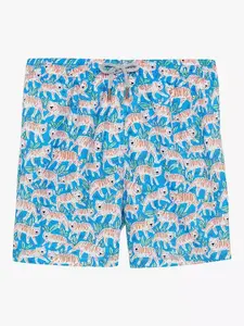 Шорты для плавания Trotters Tiger, цвет aqua/tiger