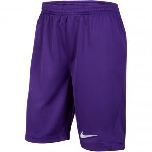 Nike Dri Fit SS25 шорты Garden Purple