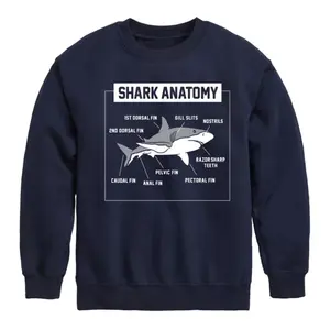 Флисовая толстовка с изображением анатомии акулы для мальчиков 8-20 лет Licensed Character, синий
