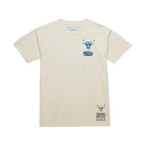 Mitchell Ness Футболка Mitchell & Ness x NBA Chicago Bulls мужская ecru