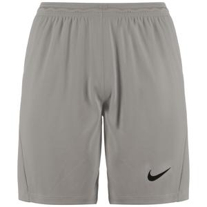 Обычные спортивные штаны NIKE Park III, Grey