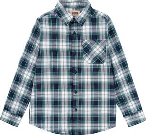 Рубашка Levi's для мальчиков с длинным рукавом из фланели, Pepper Green