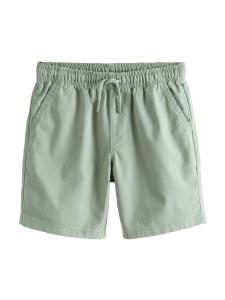 Next Обычные шорты светло-зеленого цвета