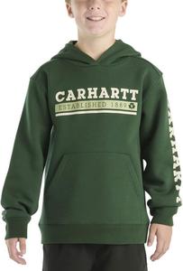 Carhartt детская CA6709 толстовка с длинным рукавом и принтом ко Дню Святого Патрика, Mountain View