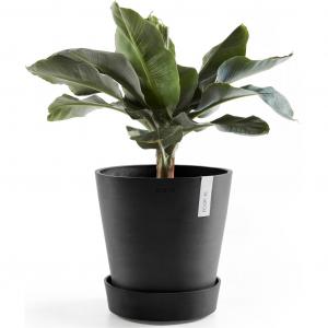 Подставка для горшков с колесиками 60 темно-серого цвета для использования внутри и снаружи: морозостойкая, ударопрочная и светостойкая Ecopots, темно-серый