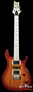 Paul Reed Smith PRS SE Series Swamp Ash Special SAS Vintage Sunburst 8,40 фунтов