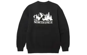 Толстовка унисекс THE NORTH FACE, цвет Black