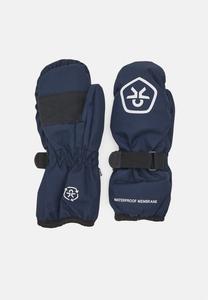 Варежки Mittens Waterproof Unisex Color Kids, цвет total eclipse