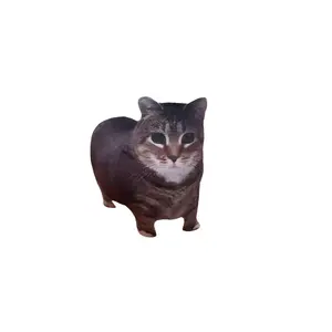 Плюшевый кулон с динамиком abstract fun german authority raccoon cat высотой 8см BUDUO