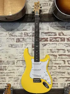 Электрогитара PRS SE Silver Sky - Dandy Lion с грифом из палисандра