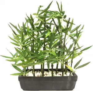 И.ГЕ.А. Искусственное растение "Бамбук" из натуральных камней I.GE.A. 39х45 см, зеленый