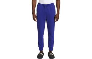 Трикотажные спортивные штаны мужские фиолетовые The North Face, фиолетовый