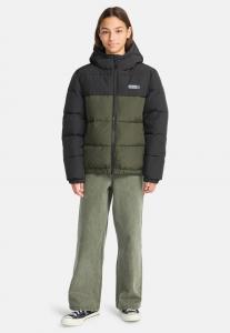 Зимняя куртка Element CLASSIC HOODED PUFFER Y, Forest Night - Solid/Olive