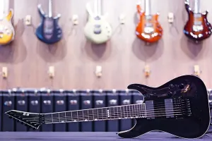 ESP E-II Horizon FR-7 черный