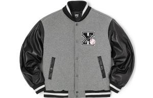 Lee Серый пуховик для мужчин, Gray