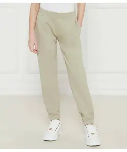 Спортивные штаны Regular fit Guess, зеленый