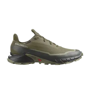 Кроссовки Alphacross 5 GORE-TEX Salomon, зеленый