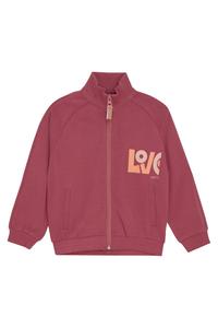 Толстовка с капюшоном на молнии Noppies Pepper, темно-красный