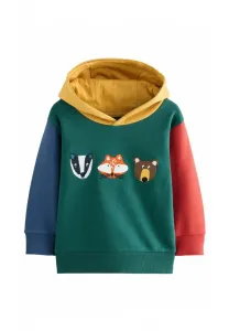 Толстовка с длинными рукавами и аппликацией, стандартного кроя. Next, Green Colourblock