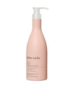 Шампунь для волос BJÖRN AXÉN Anti-Frizz Shampoo, 750 ml