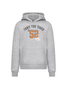 Свитер F4NT4STIC, серый