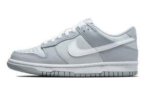 Двухцветные серые кроссовки Nike Dunk Low (GS)