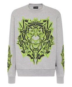 Толстовка, как у Громового Тигра Plein Sport, серый