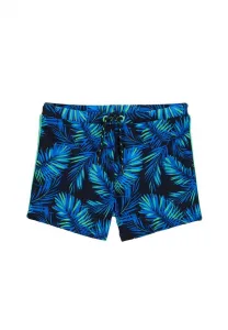 Плавки We Fashion, Blue