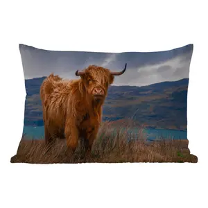 Подушка для улицы - Шотландская горная корова - Горы - Вода - Природа - Корова - 50 x 30 см - Устойчива к погодным условиям - Подушка для отдыха - Подушка для дивана - Украшение для гостиной MuchoWow