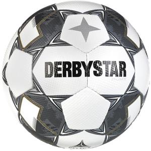 DERBYSTAR Футболка унисекс Soccer Brilliant TT 2024, серебристо-белая