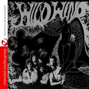 CD диск Wild Wind: Wild Wind