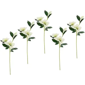 И.ГЕ.А. Искусственный цветок «Рождественская роза», цветы из искусственного шелка, набор из 5 шт I.Ge.A., цвет creme