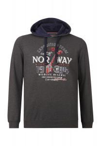 Толстовка ХИНРИКУС JAN VANDERSTORM, темно-серый