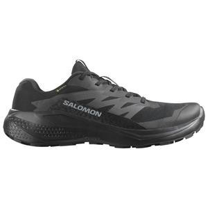 Alphaglide gore-tex - кроссовки для бега по пересеченной местности Salomon, мультиколор