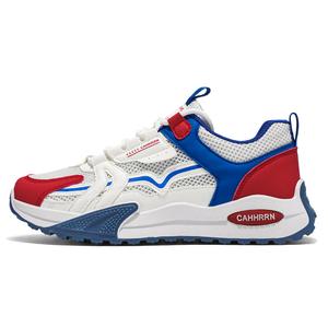 Низкие повседневные туфли мужские Sportful, White Blue