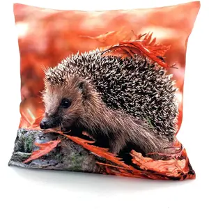 Наволочка Ежик Weckbrodt, Multi