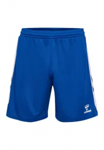 Шорты для занятий спортом в помещении Hummel, True Blue White