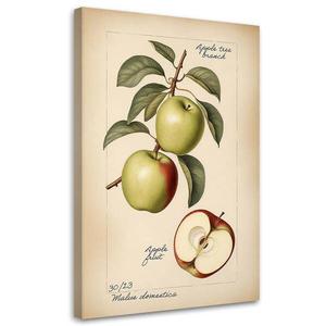 Картина арт-принт KUNSTLOFT Apple Fruit, бежевый