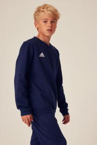 Толстовка Entrada 22 Junior с круглым вырезом adidas, синий