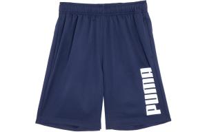 ESS Повседневные шорты для мужчин Puma, синий