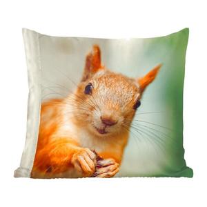 MuchoWow Декоративная подушка Диванная подушка Декоративная подушка для гостиной 60 x 60 см Белка - Забавный - Орех - Дети - Мальчики - Девочки - Ребенок - Чехлы на подушки - Хлопчатобумажная ткань - Декоративные наволочки