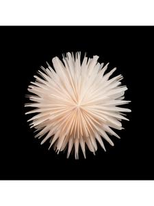 Sterntaler Декоративная звезда | Бумажная рождественская звезда | Складная звезда | Белая | 45 см | Для использования в помещении |