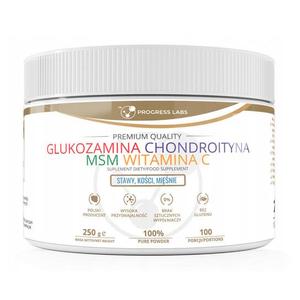 Progress Labs, Глюкозамин Хондроитин МСМ Витамин С 250 г