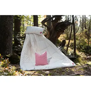 Одеяло из натуральных волокон Био-сосна, размеры 135x200 см, 155x220 см, обычное наполнение из овечьей шерсти и стружки кедра, 1 шт., с приятным ароматом кедра Hefel, Champagner